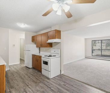 Heather Lee — 2 Bed, 1 Bath - Photo 4
