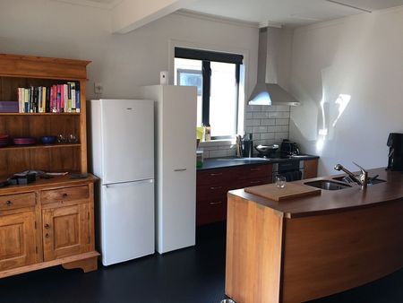 Architectural renovated 3 bed Home -Napier South - Photo 5