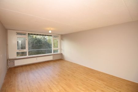 Tobias Asserlaan 438, Ruimzicht West, 1111KD, Diemen - Photo 2