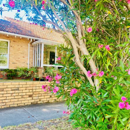 Black Rock - Photo 3