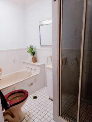 95 Abbotsford Road, Sydney - Photo 1