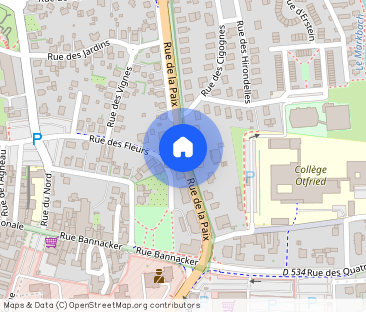 Location Appartement 1 pièce 16m² WISSEMBOURG 67160 - Photo 1