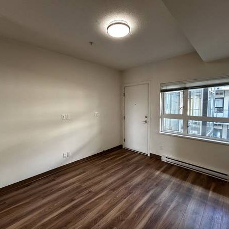 Unfurnished 1 Bed 1 Bath Apartment For Rent at 138 East Hastings St - Photo 3