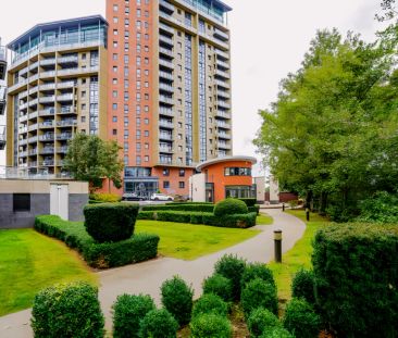 1 Bed 1 Bath - Photo 6