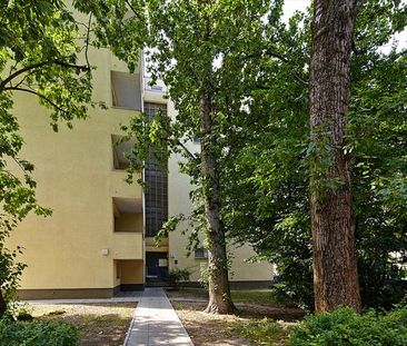 Gepflegte Wohnung sucht gepflegte Nachmieter! - Foto 1