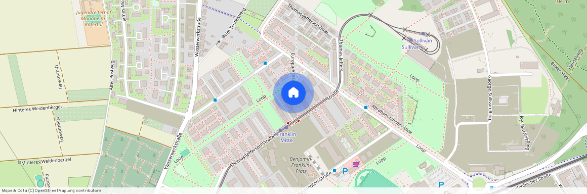 Thomas-Jefferson-Str. 55a, 68309, Mannheim