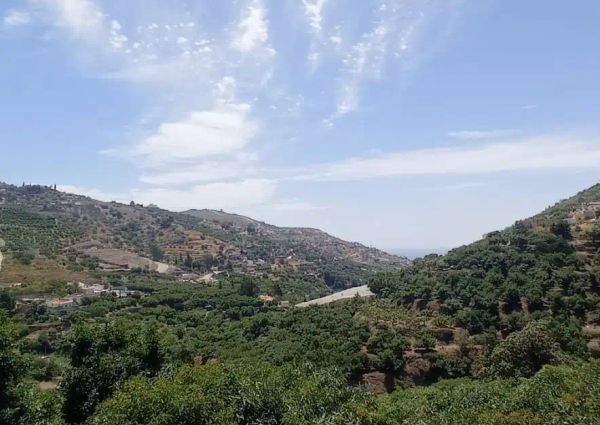 Torrox