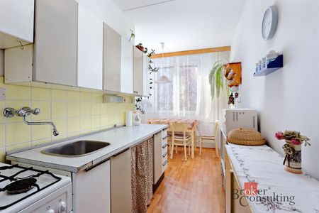 Pronájem bytu 1+1 40 m² - Fotografie 3