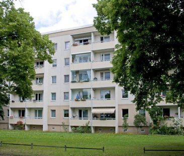 Hepkestr. 133, 01277 Dresden OT Tolkewitz / Seidnitz-Nord - Foto 4