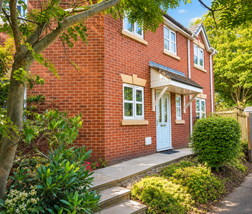 3 bedroom end of terrace house to rent - Photo 4