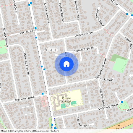 12 Manuka Street, Pukete, Hamilton City