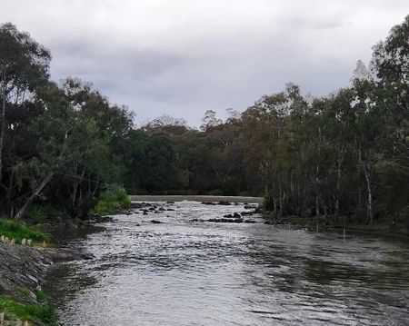 Abbotsford - Photo 3