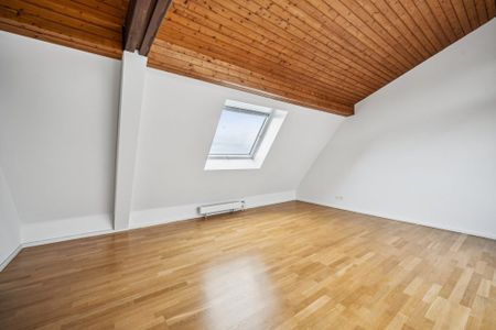 Rent a 4 rooms duplex in Basel - Photo 3