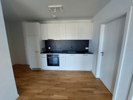 LE TICLE : Appartements neufs à louer - Foto 2