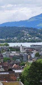 Exclusive 5.5-room apartment with views of the city, lake and mountains - Photo 3