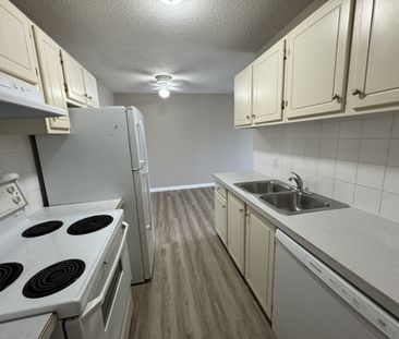 1 Bedroom Cat Friendly Suite in Clearview - Photo 2
