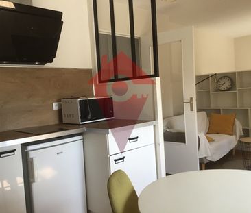 Location Appartement 1 pièce Meublé 26m² LE MANS 72000 - Photo 2