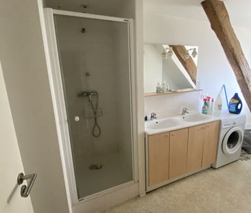 Location Appartement 1 pièce 10m² STRASBOURG 67000 - Photo 6