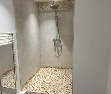 Location Appartement 1 pièce Meublé 19m² STE FOY LES LYON 69110 - Photo 6