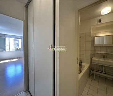 Location Appartement 1 pièce 26m² - Photo 3