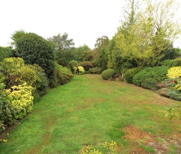 3 bedroom detached house to rent - Photo 5