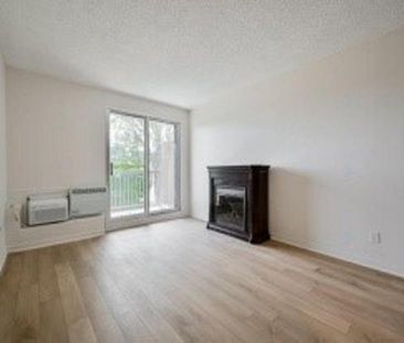 LIBRE MAINTENANT!!! 579-880-8879 Superbe condo rénové à l'été 2025,... - Photo 2