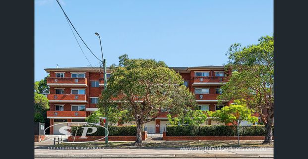 Tree-lined Street, Spacious Living - Photo 1