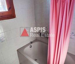 Μονοκατοικία για ενοικίαση - Ωρωπός - Photo 5