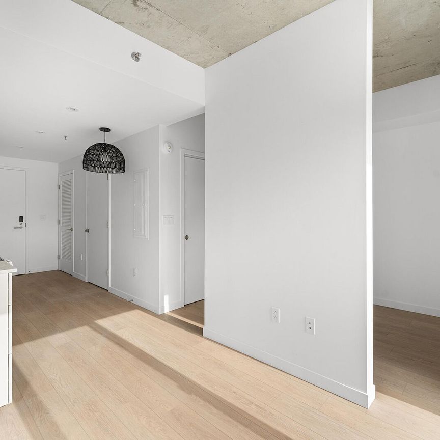 Joseph Condos for rent in Rosemont-La-Petite-Patrie - Photo 1