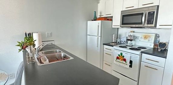 Bright and Stylish 1 Bed + Den 1 Bath Corner Suite with City & Water V - Photo 2