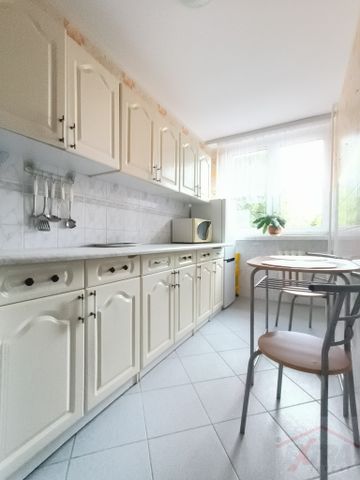 2-pokojowe mieszkanie na wynajem. (437551) - Zdjęcie 4