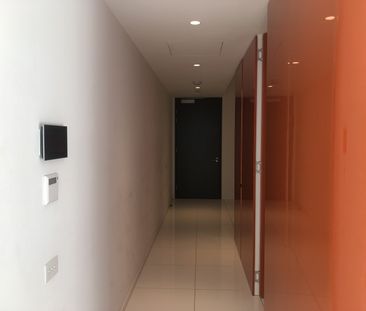 2 Chippendale Way, Chippendale NSW 2008 - Apartment For Rent | Domain - Photo 2