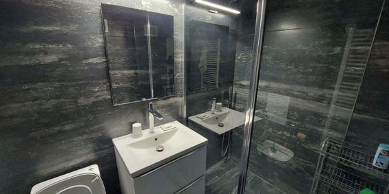 Apartament cu 1 camera Calea Turzii - Fotografie 3