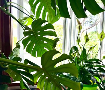 East Ipswich - Photo 2