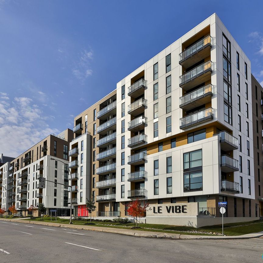78-88 rue Dollard-des-Ormeaux - Unité 4 ½ - Le Vibe, Gatineau (Hull) à louer - Photo 1