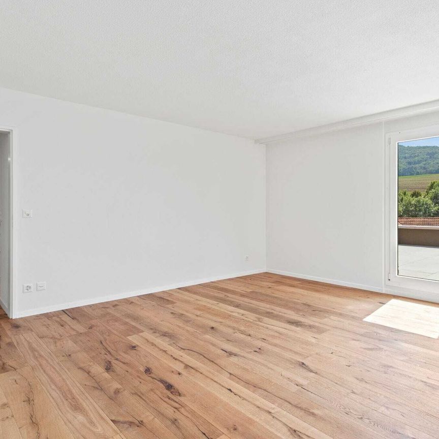 4.5-room terrace apartment with high living quality in Beggingen - Photo 1