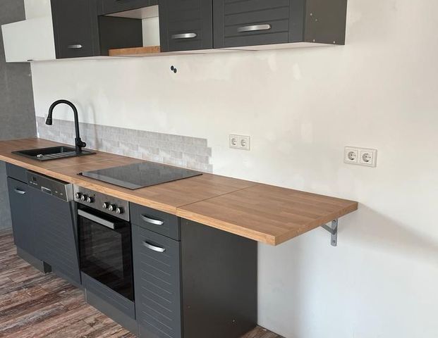 1 Raum Apartment/Wohnung, 1 OG/DG 44m2+20m2,teilmöbliert - Foto 1