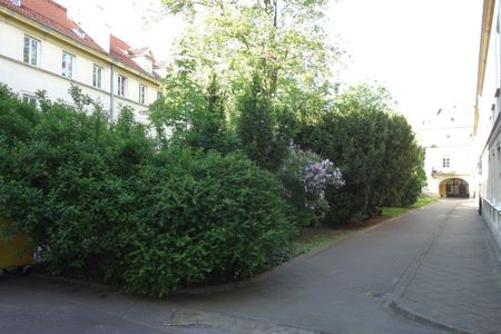 Ciche studio z doskonałą komunikacją - Фото 2