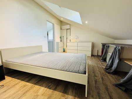 Location Appartement 1 pièce 25m² ROMANS SUR ISERE 26100 - Photo 2