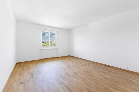 Frisch sanierte 3.5-Zimmerwohnung an zentraler Lage in Zollikofen - Photo 3