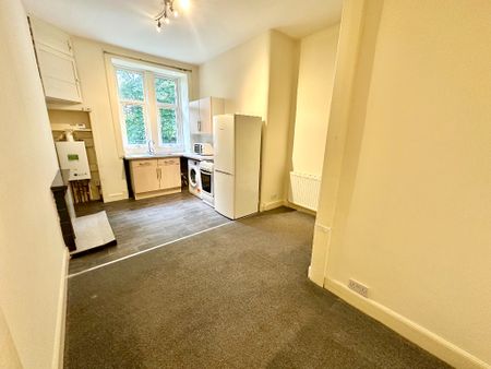 Torrisdale Street, Govanhill, Glasgow, G42 8PW - Photo 3