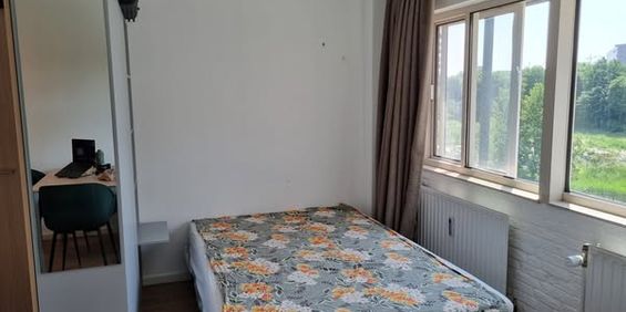 Studio Amsterdam - Onbekend - Foto 3