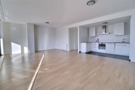 Avenue Livingstone, 1000, Bruxelles - Photo 3