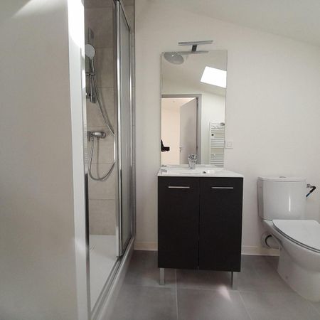 Location Appartement 2 pièces 31m² MACON 71000 - Photo 4