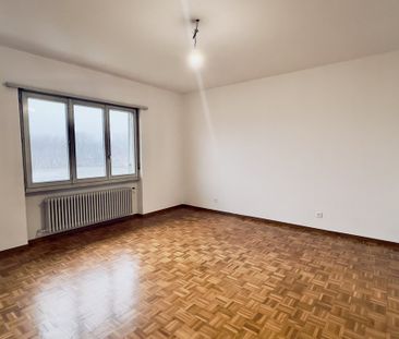 6852, Genestrerio - Photo 4