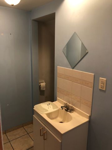 Condo for rent, Montréal (Le Plateau-Mont-Royal) - Photo 5