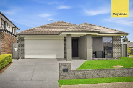 Modern Four Bedroom Single Level Home - Photo 4
