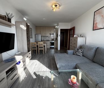 Centrum, 2 pok, Park Andersa, Kaskada - Zdjęcie 1