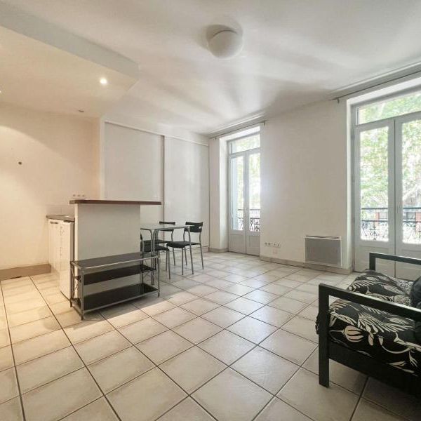 Location Appartement 2 pièces 40m² TOULOUSE 31000 - Photo 1