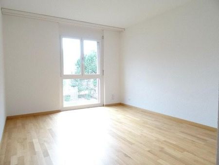 Moderne 3.5-ZW im EG à 72 m² mit Gartensitzplatz - Photo 3